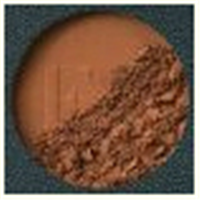 Sunflower Bronzer 